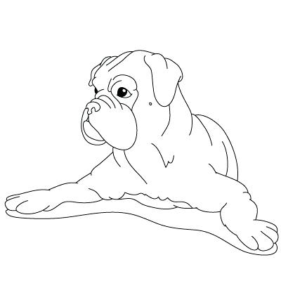 400x400 Boxer Coloring Pages Coloring Pages Of Boxer Dogs How To Draw