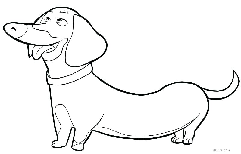 800x512 Boxer Coloring Pages Dog Coloring Pages To Print Boxer Puppy