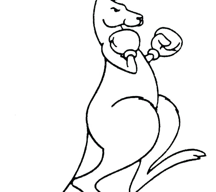 866x768 Elegant Boxing Gloves Coloring Pages For Baby Kangaroo Coloring
