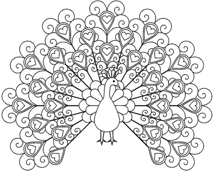 736x588 Luxury Printable Coloring Pages For Adults And Flower Coloring