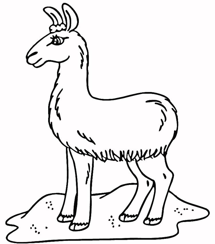 750x854 Llama Coloring Page Beautiful Printable Illustration Of A Coloring
