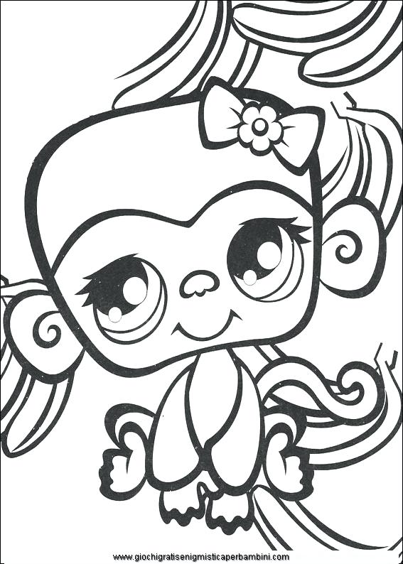567x794 Littlest Pet Shop Printable Coloring Pages Make One Special Photo