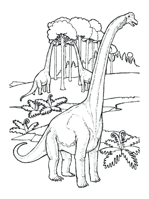 The best free Brachiosaurus coloring page images. Download from 41 free ...