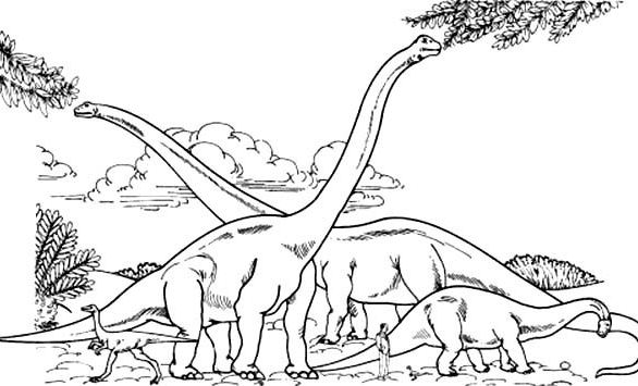 586x355 Brachiosaurus Coloring Page Hd Drawing Board Weekly