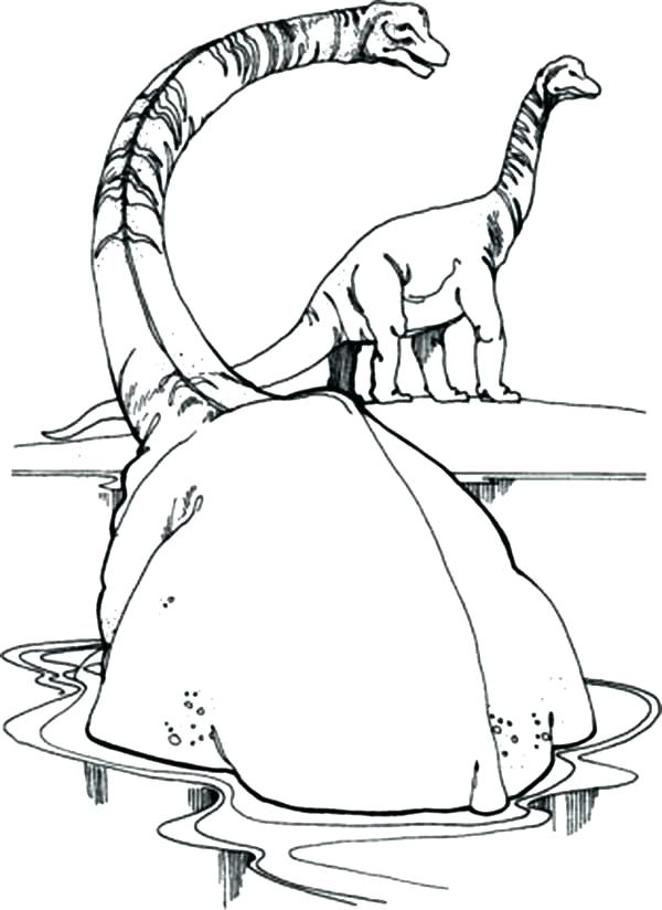 600x824 Brachiosaurus Coloring Page