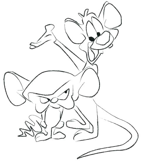 491x550 Brain Coloring Brain Anatomy Coloring Pages Human Anatomy Human