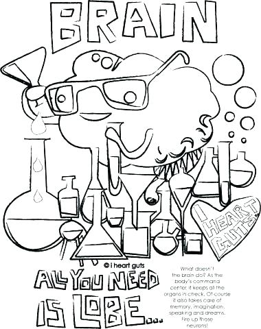 380x480 Brain Coloring Sheet Human Brain Coloring Book Brain Coloring Page