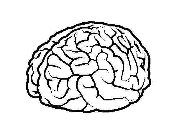 600x470 Brain Coloring Page Entrancing Brain Coloring Page