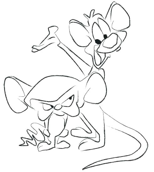 491x550 Brain Coloring Pages Brain Coloring Worksheet Brain Anatomy