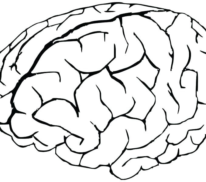 678x600 Brain Coloring Page