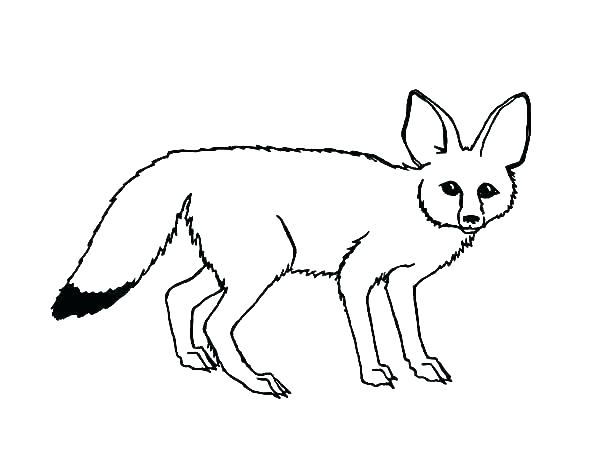 600x464 Brazil Flag Coloring Page Finesse Site