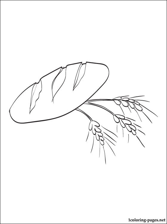 560x750 Bread Coloring Page Coloring Pages