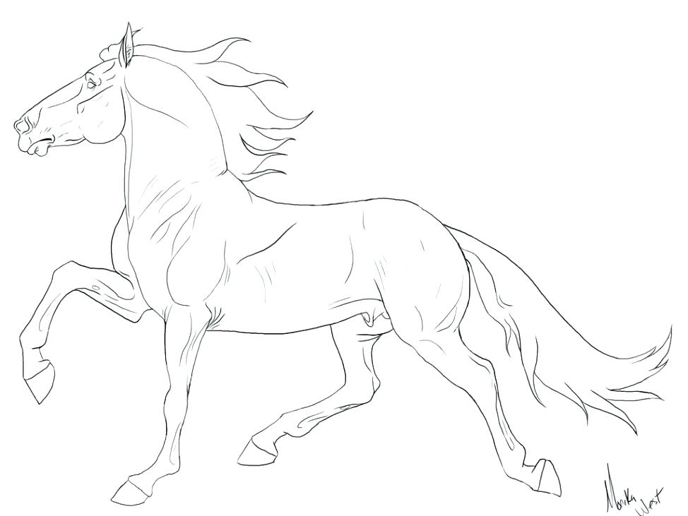 974x731 Breyer Horse Coloring Pages Horse Coloring Pages Large Size