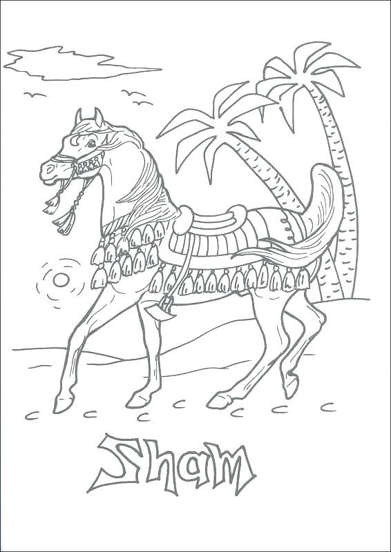 566x800 Breyer Horse Coloring Pages Horse Coloring Pictures Coloring Pages