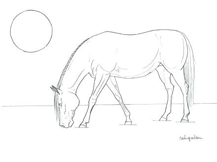 440x330 Breyer Horse Coloring Pages Images Of Horse Coloring Pages