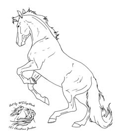 236x277 Breyer Horse Coloring Pages Stunning Full Size Of Jumping Horse