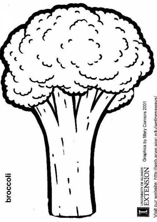 531x750 Coloring Page Broccoli