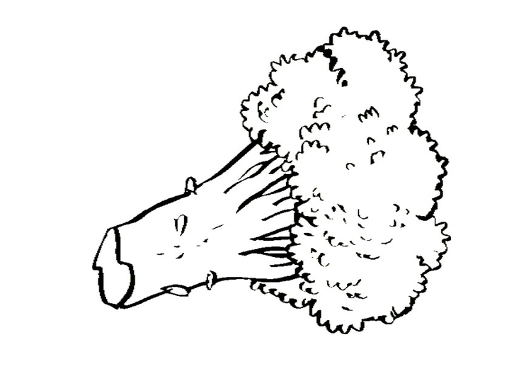 750x531 Coloring Page Broccoli