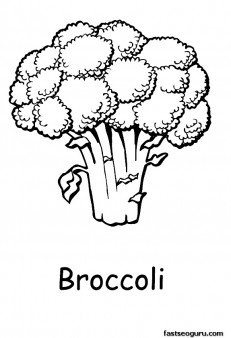 231x338 Printabel Vegetable Broccoli Coloring Page