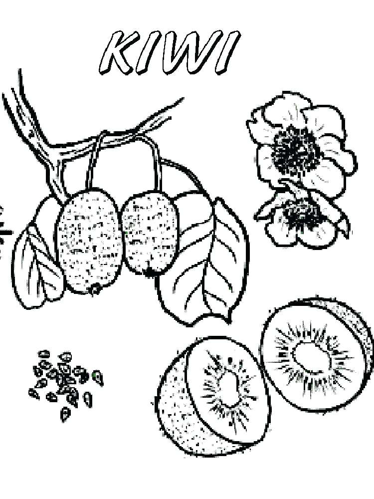 750x1000 Broccoli Coloring Page Blocktradex Club