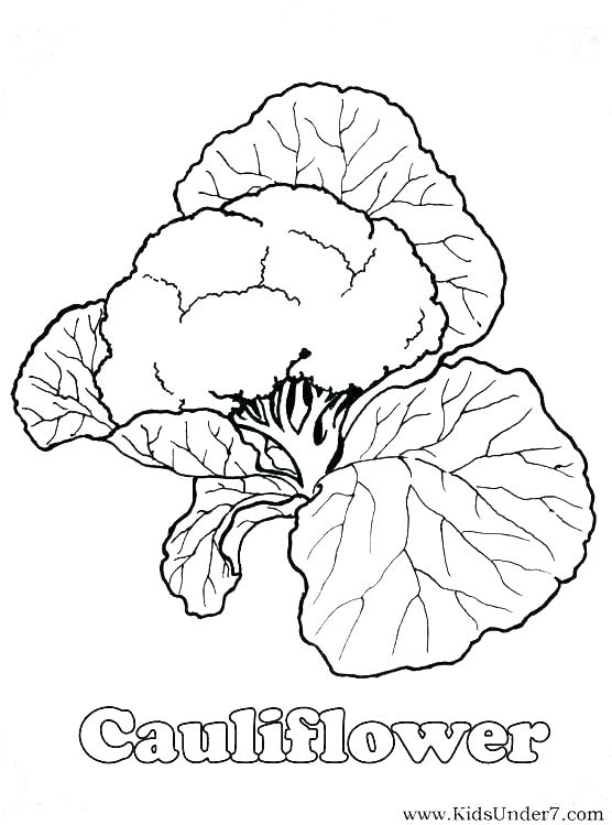 556x749 Broccoli Coloring Page