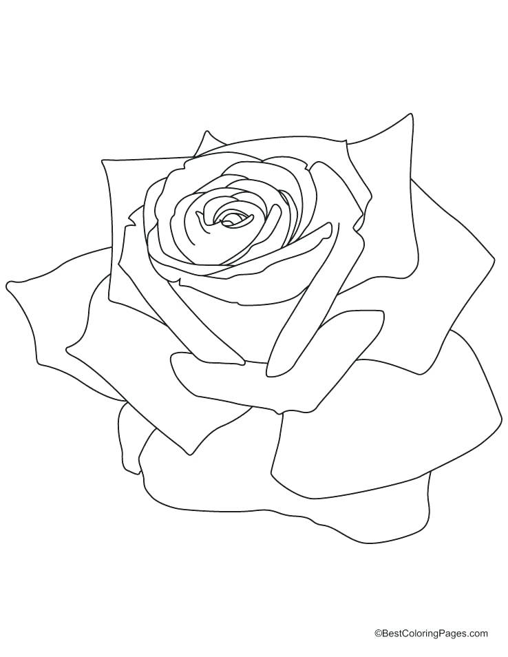 738x954 Broly Coloring Pages Printable Drawings And Coloring Pages Dbz