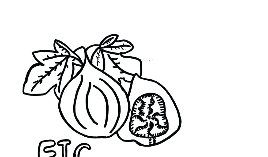 1024x600 Denver Broncos Coloring Page