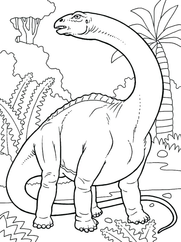 600x801 Brontosaurus Coloring Page Saur Facts Saur Facts Coloring Pages
