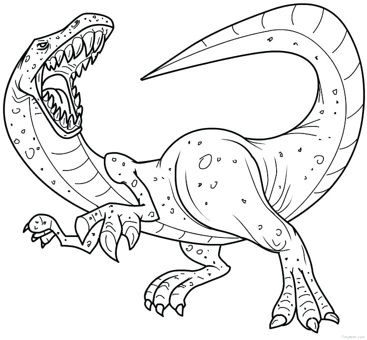 735x680 Dinosaur Free Coloring Pages Brontosaurus Coloring Page Dinosaur