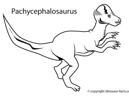 440x330 Newt Coloring Page Click To See Printable Version Of Crested Pages