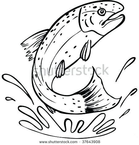 450x470 Brook Trout Pen And Ink Vinyl Decal