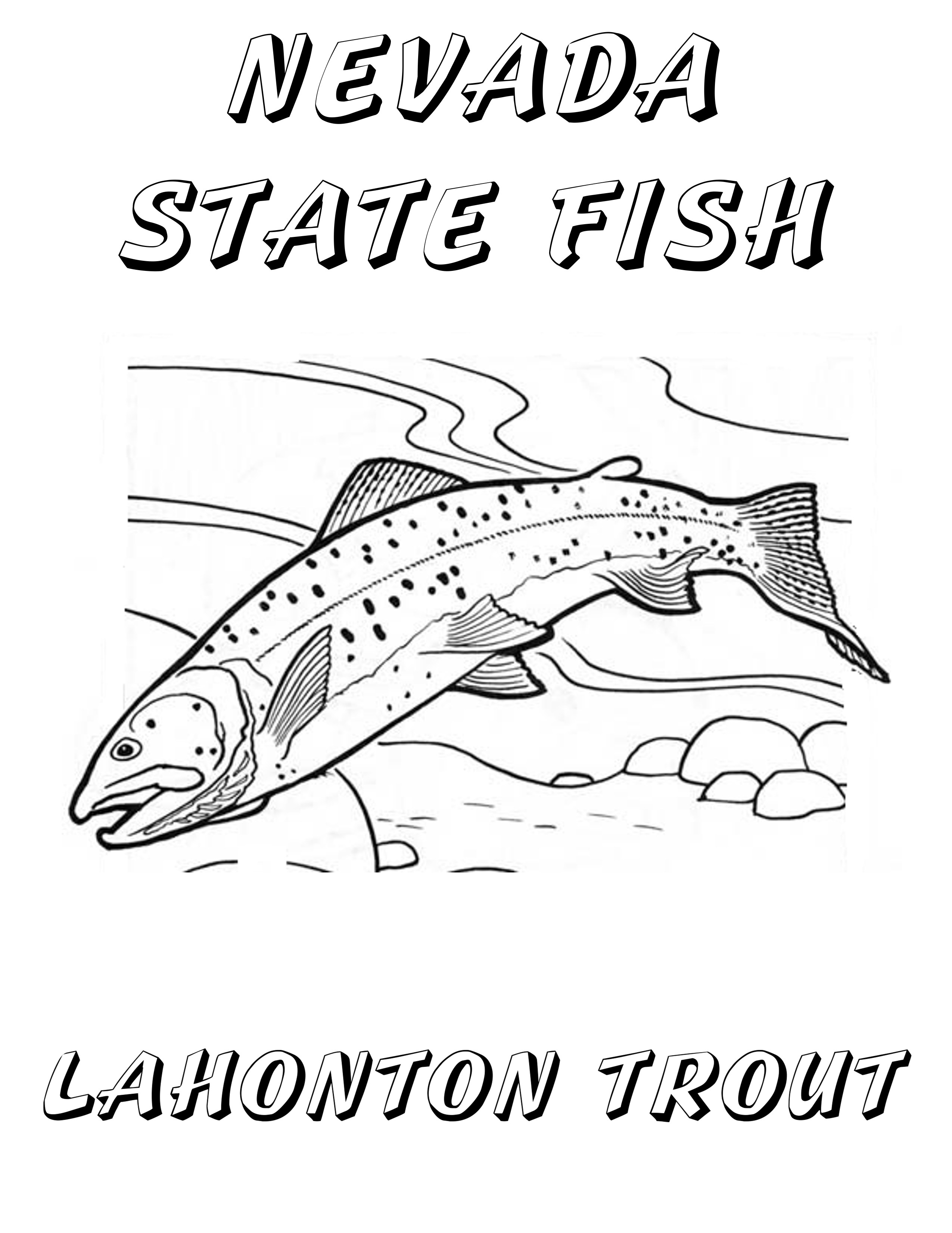 2550x3300 Trout Coloring Page