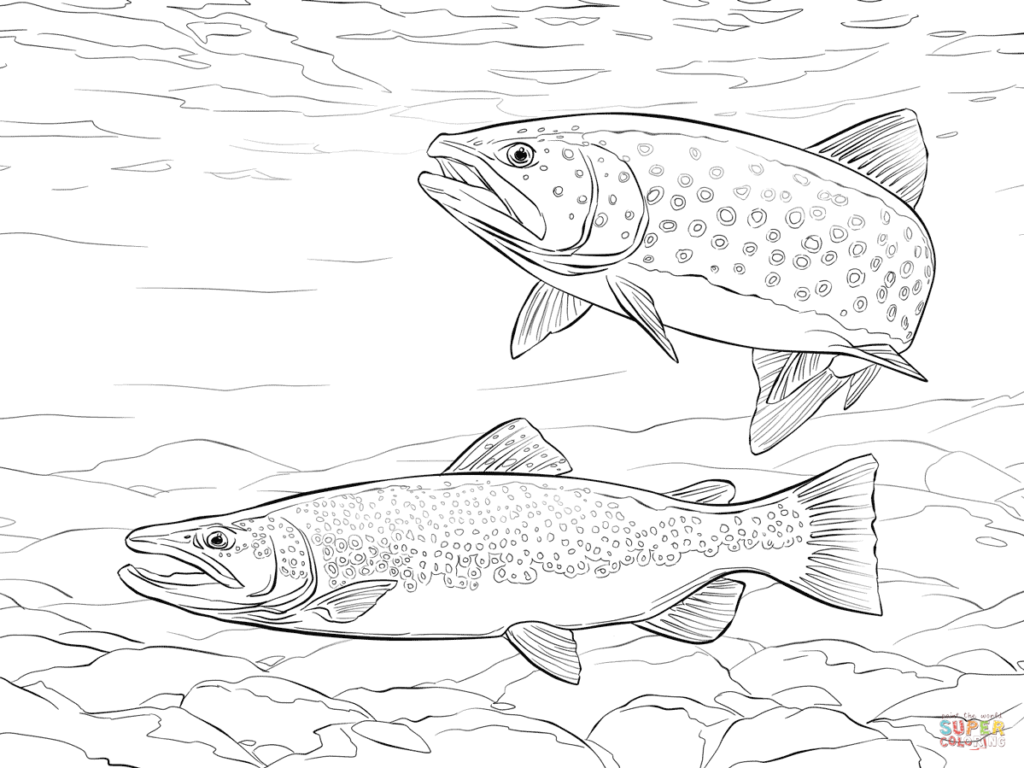 1024x768 Trout Coloring Page Get Bubbles