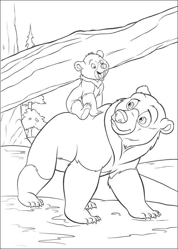 567x794 Brother Bear And Little Bear Coloring Page Infantil