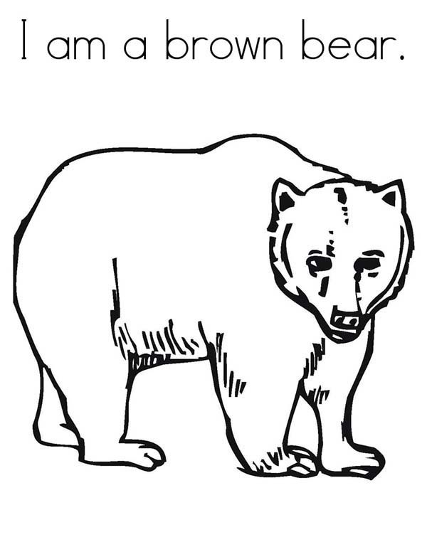 600x776 Brown Bear Coloring Sheet Fascinating Brown Bear Coloring Pages