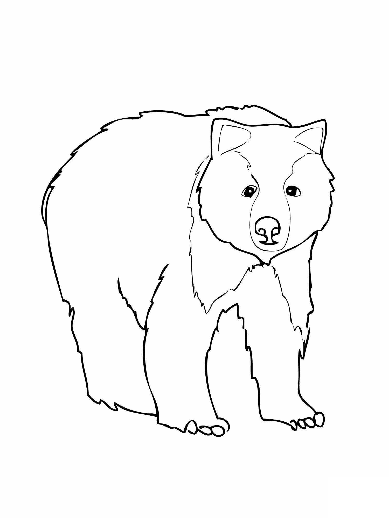 1500x2000 Printable Free Printable Bear Coloring Pages For Kids Free