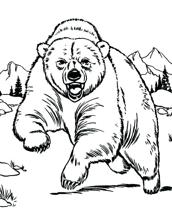 600x727 Brown Bear Coloring Page Brown Bear Coloring Pages Brown Bear
