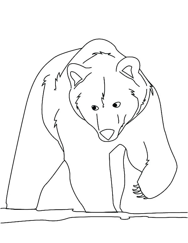 600x776 Brown Bear Coloring Pages Brown Bear Coloring Brown Bear Coloring
