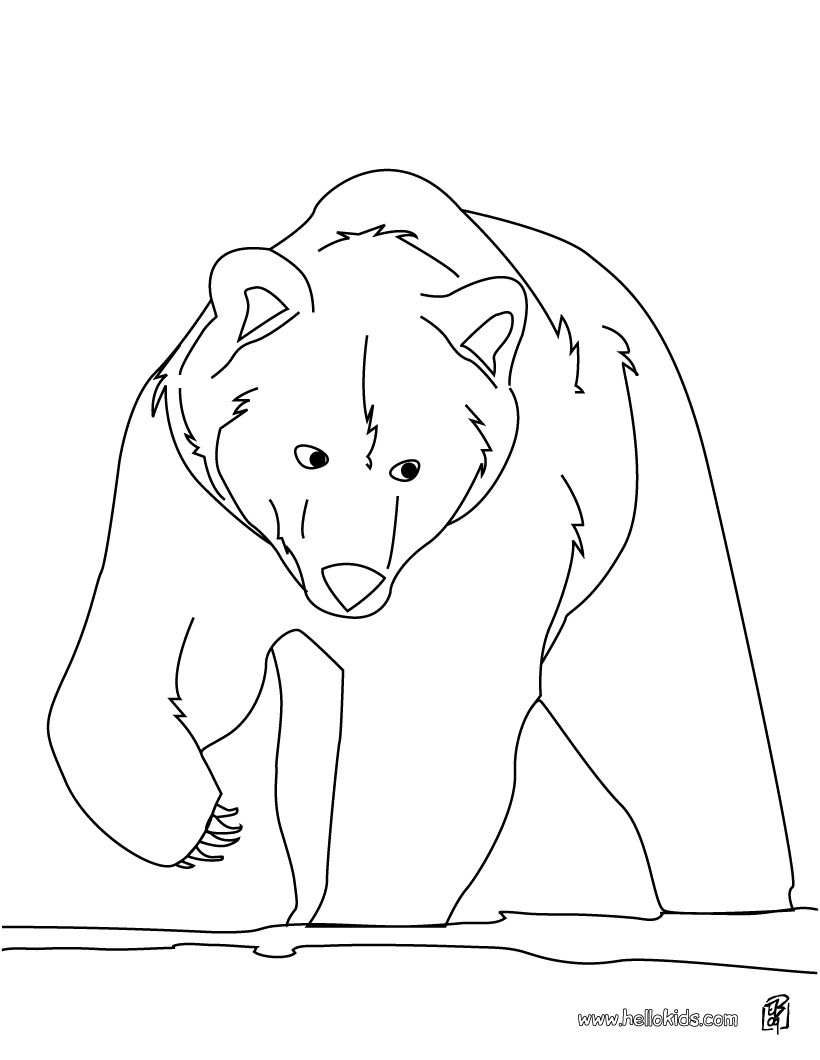 820x1060 Brown Bear Coloring Page More Forest Animals Coloring Sheets