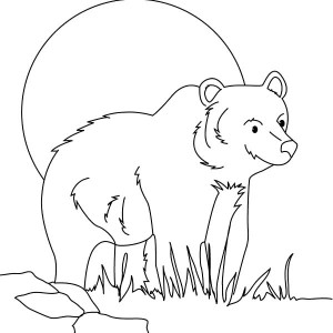 300x300 Hungry Brown Bear Coloring Pages Best Place To Color