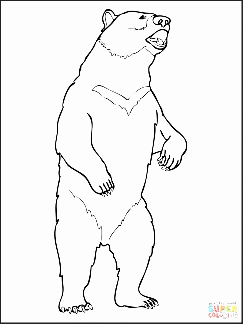 802x1070 Moon Coloring Pages For Preschoolers