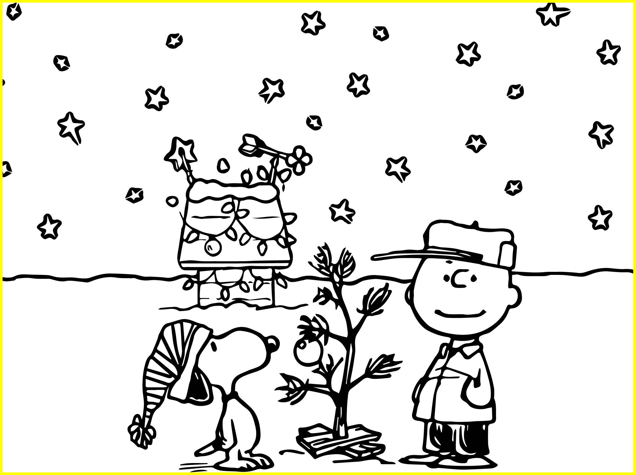 Brown Pelican Coloring Pages