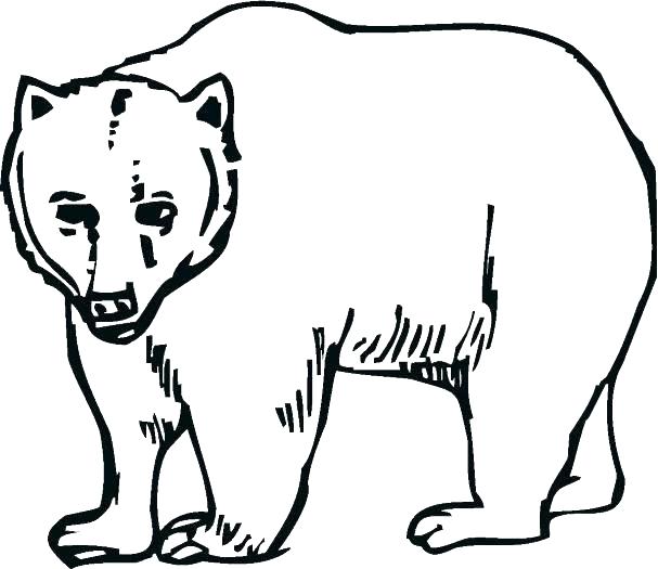 607x525 Louisiana Coloring Pages Black Bear Coloring Page Photo Gallery