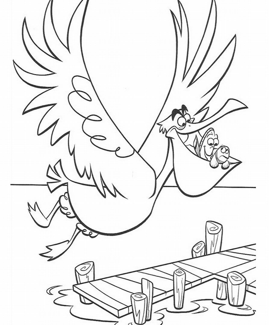 893x1080 Maxresdefault Unusual Pelican Coloring Pages Halo Eastern Brown