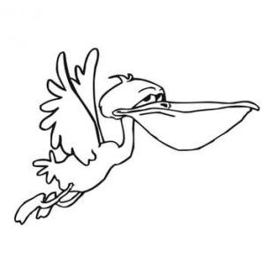 308x308 Pelican Animal Coloring Pages