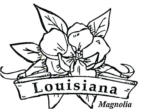 480x360 State Bird And Flower Coloring Pages Arkansas Coloring Pages State
