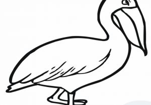300x210 Birds Pelicans Brown Pelican Flight Pelicans Coloring Pages