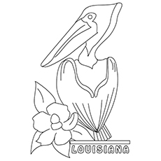 230x230 State Coloring Sheets For Lousiana