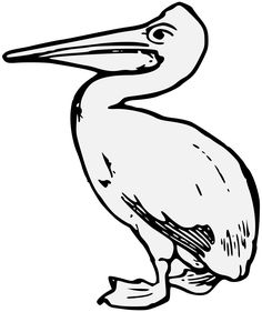 Brown Pelican Coloring Pages at GetDrawings | Free download