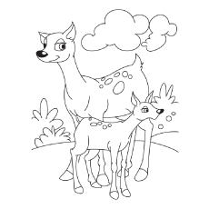 230x230 Top Deer Coloring Pages For Your Little Ones